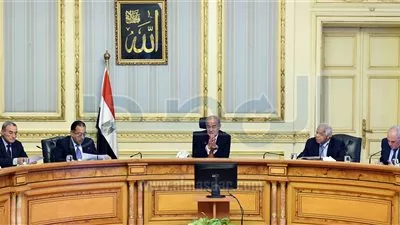 الحكومة تستعرض تطورات مشروع القطار المعلق بين 6 أكتوبر والقاهرة