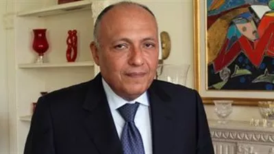 شكرى يبحث جهود مصر لتثبيت التهدئة ووقف نزيف الدم فى غزة