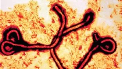 صحيفة: النيجيرية التي عزلت في سنغافورة غير مصابة بالإيبولا