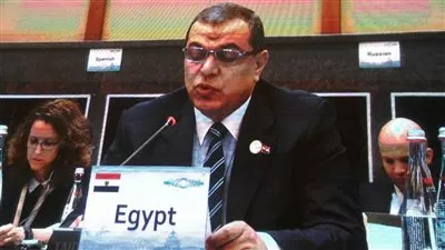 سعفان: مصر تخوض 