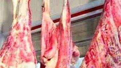 إرتفاع أسعار