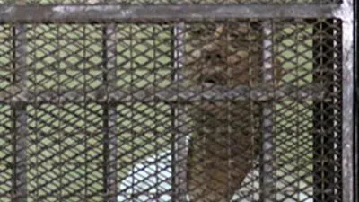تأجيل محاكمة سامح فهمي في قضية تصدير الغاز لـ 22 نوفمبر