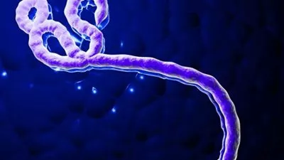 نقل طبيب يعمل بمنظمة الصحة إلى هامبورج للعلاج من الإيبولا