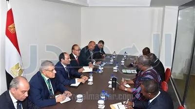 السيسي ونظيره الغاني يبحثان تطوير العلاقات الثنائية بين البلدين