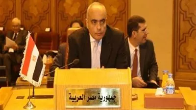 مندوب مصر في الأمم المتحدة: سنرد بقوة على محاولة انسحاب أى رئيس خلال كلمة السيسي