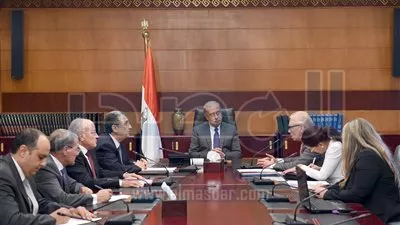 إسماعيل يبحث مع 