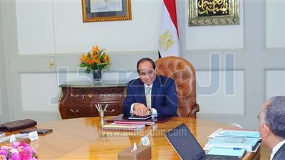 السيسي يستعرض مع وزيري 