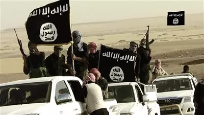 المرصد السوري: الدولة الإسلامية تقاتل على مشارف كوباني