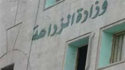 “الزراعة”: مليون و230 ألف حالة تعد على الأراضي الزراعية منذ ثورة 25 يناير