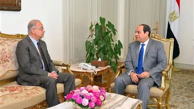 السيسي يوجه الحكومة بإجراءات عاجلة لحماية محدودي الدخل