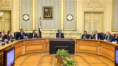 الحكومة: حريصون على الانتقال بصناعة الجلود لمصاف المستويات العالمية