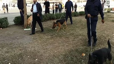 فريق المفرقعات يمشط محيط 