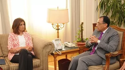 وزيرا الإسكان والهجرة يناقشان توفير الأراضي والوحدات للمصريين بالخارج