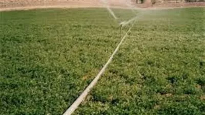 عمومية 