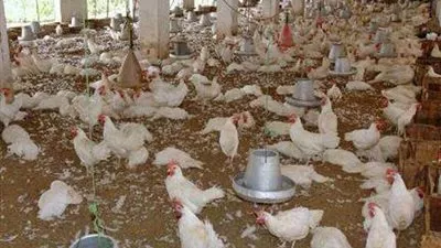 21 مليون جنيه أرباح 