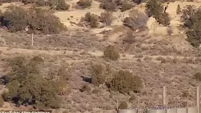 فيديو: كائن غريب في البرتغال يثير الرعب 