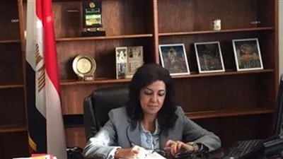 قنصلية مصر في لوس أنجلوس تطمئن على الجالية في أعقاب حرائق الغابات