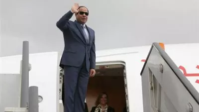 السيسي يلزم الحكومة بقرارات لجنة أراضي الدولة