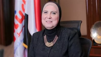 إعادة تشكيل الجانب المصري في مجلس الأعمال المصري التشيكي
