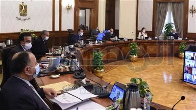 «الوزراء» يقر إعادة تنظيم محطة الزهراء لتربية الخيول العربية الأصيلة