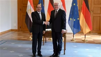 السيسي يبحث مع شتاينماير تعظيم حجم الاستثمارات الألمانية في مصر 