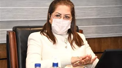 «التخطيط»: الحوكمة تشجع على نمو القطاع الخاص ودعم قدراته التنافسية