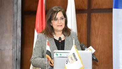 «التخطيط»: تنفيذ 20 مشروع ثقافي باستثمارات 1.3 مليار جنيه في 2021-2022