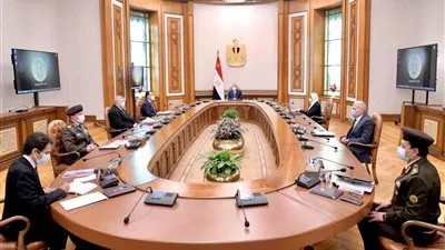 السيسى يستعرض مخطط تنفيذ مشروع تصنيع وتجميع مشتقات البلازما