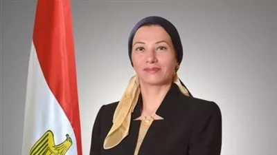 «البيئة»: 25 مليون جنيه لتوفيق أوضاع 3 شركات