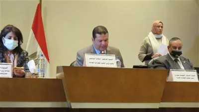 وزير المالية: مصر تمضي بنجاح في مسيرة التحول نحو الاقتصاد الرقمي