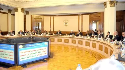  مجلس الوزراء يوافق على طرح قطع أراضي للمصريين فى الخارج