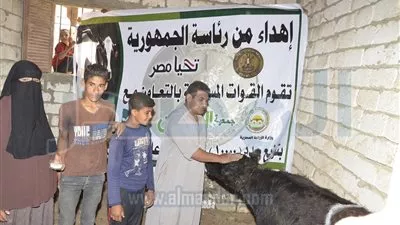 بالصور..رئاسة الجمهروية توزع 2645 رأس ماشية للاسر الاكثر احتياجاً