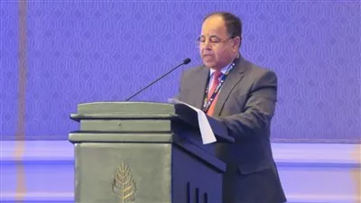 وزير المالية يدعو صنَّاع التأمين بالعالم للإسهام فى تحول أفريقيا للاقتصاد الأخضر