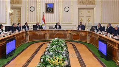 الحكومة تناشد المواطنين بتحديث بيانات البطاقات التموينية قبل نهاية يونيو 