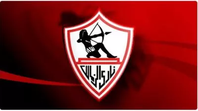 بالفيديو..
