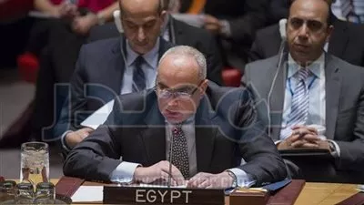 مصر تصوت لتمديد ولاية بعثة الأمم المتحدة للاستفتاء في الصحراء الغربية