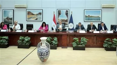 وزيرا السياحة والطيران يبحثان آليات تنشيط الحركة السياحية والجوية