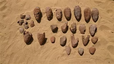 الكشف عن بقايا أحد معابد الشمس الأربعة المفقودة من الأسرة الخامسة بأبوصير  