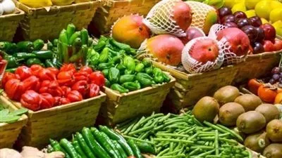 ارتفاع صادرات الحاصلات الزراعية إلى 2.2 مليار دولار خلال 10 أشهر 
