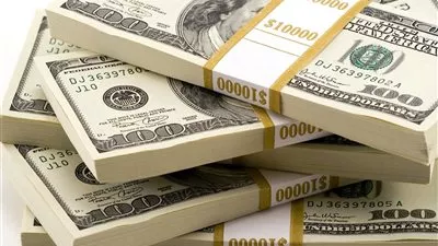 خبير اقتصادي يتوقع هبوط الدولار لأقل من 10 جنيهات في السوق السوداء