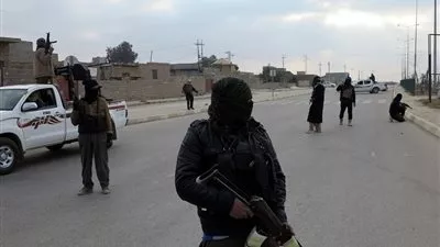 تنظيم 