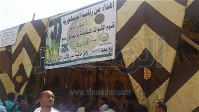 رئاسة الجمهورية توزع 1750 رأس ماشية بالفيوم على 94 نجع وقرية 