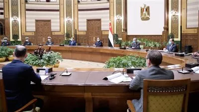 السيسي يبحث مع رئيس «ديمي» تطوير بحيرة البردويل