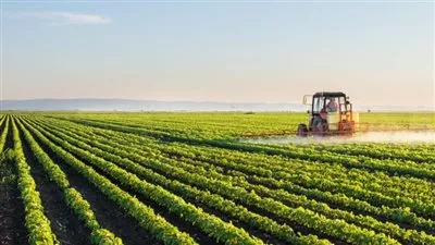«المصرية السعودية للتنمية الزراعية» تستصلح 750 فدان بالأقصر