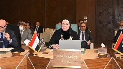 وزيرة التجارة تعلن توصيات المجلس الاقتصادي لجامعة الدول العربية