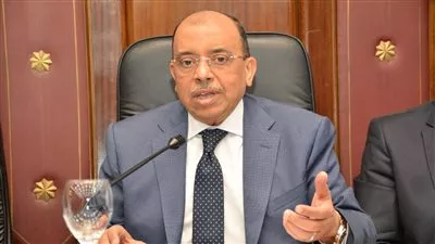  بتكلفة 17.3 مليار جنيه.. شعراوي: تنفيذ 164 ألف مشروع صغير في المحافظات