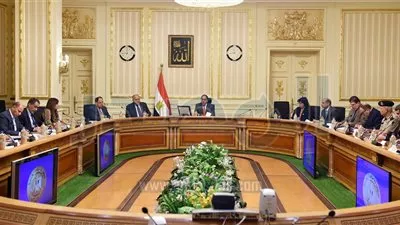 الحكومة تبحث خطة الاستعداد لرئاسة الاتحاد الأفريقى فى 2019