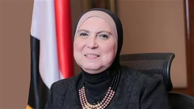 وزيرة التجارة تقرر إعادة تشكيل مجلس الأعمال المصري الأسباني