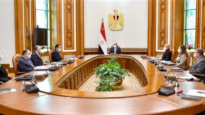 السيسي يوجه باستمرار برنامج طروحات الشركات المملوكة للدولة بالبورصة