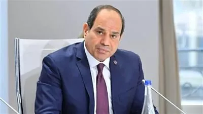 السيسي يوافق علي الإذن لوزير المالية بضمان «سوبرجيت»